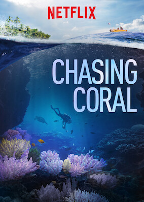 ChasingCoral