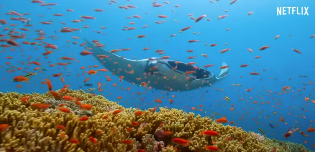 Islands of Raja Ampat SE Asis