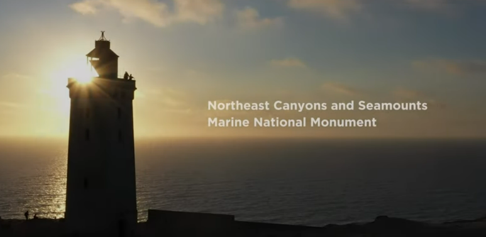 Northeast Canyons and Seamounts Marine National Monument